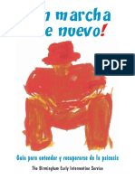 PGPF Entender y Recuperarse de la Psicosis.pdf