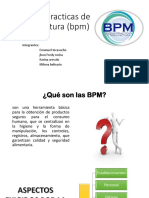 Buenas Practicas de Manufactura (BPM) : Integrantes: Emanuel Tocasuche Jhon Fredy Rocha Karina Arevalo Milena Belisario