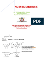 Biosyntesis of Flavonoid