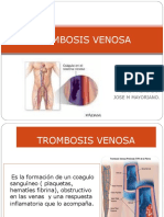 Trombosisvenosa 131015204956 Phpapp02 PDF