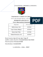 Informe 1 Lab de Microbio PDF
