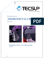 Laboratorio N°1 - Introducción A La Lixiviación