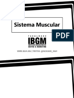 Sist. Muscular - MM Da Cabeça