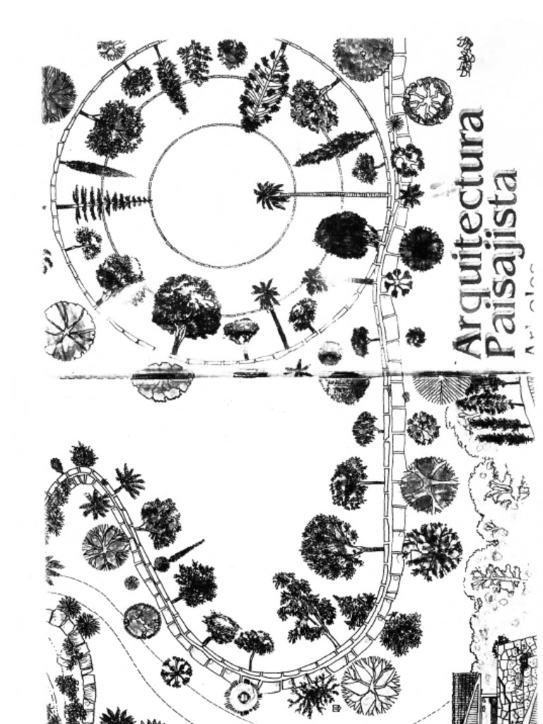 Arq Paisajista Arboles 1 PDF | PDF | Plantas | Arboles, image size:768x1024
