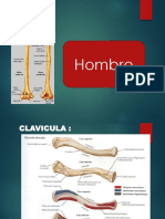 Clase 13 Hombro