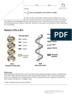 Central Dogma Discovery Activity