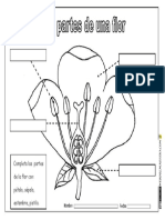 partes de una flor tercero.pdf