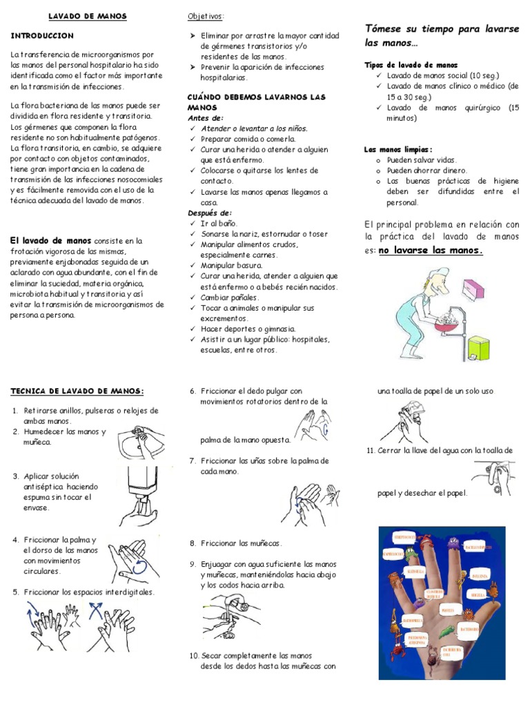 Importancia del Lavado de Manos | PDF | Lavado de manos ...