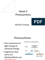 Week 9 Photosyntesis