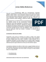 Bacterias reductoras de sulfato: clasificación y papel en la digestión anaerobia