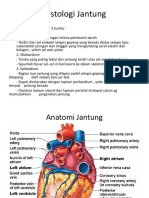 Anat Histo Jantung SKV