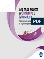 Guia de Los Expertos Diro&Leish PDF