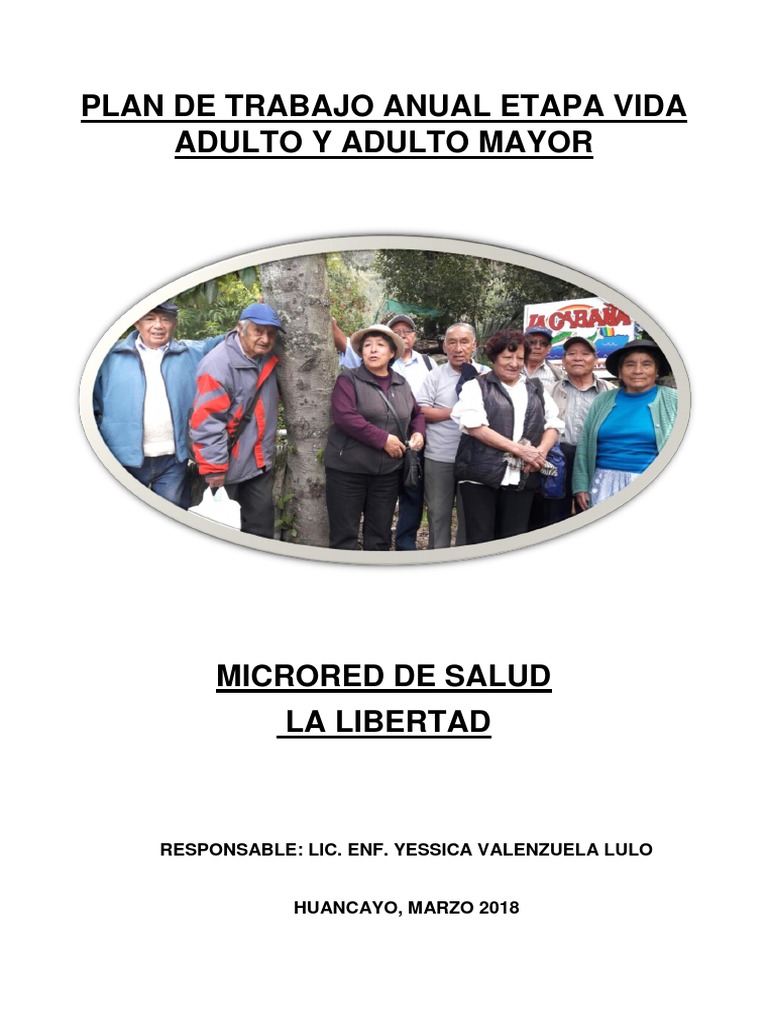 Plan de Trabajo para Adultos Mayores | PDF | Adultos | Vejez