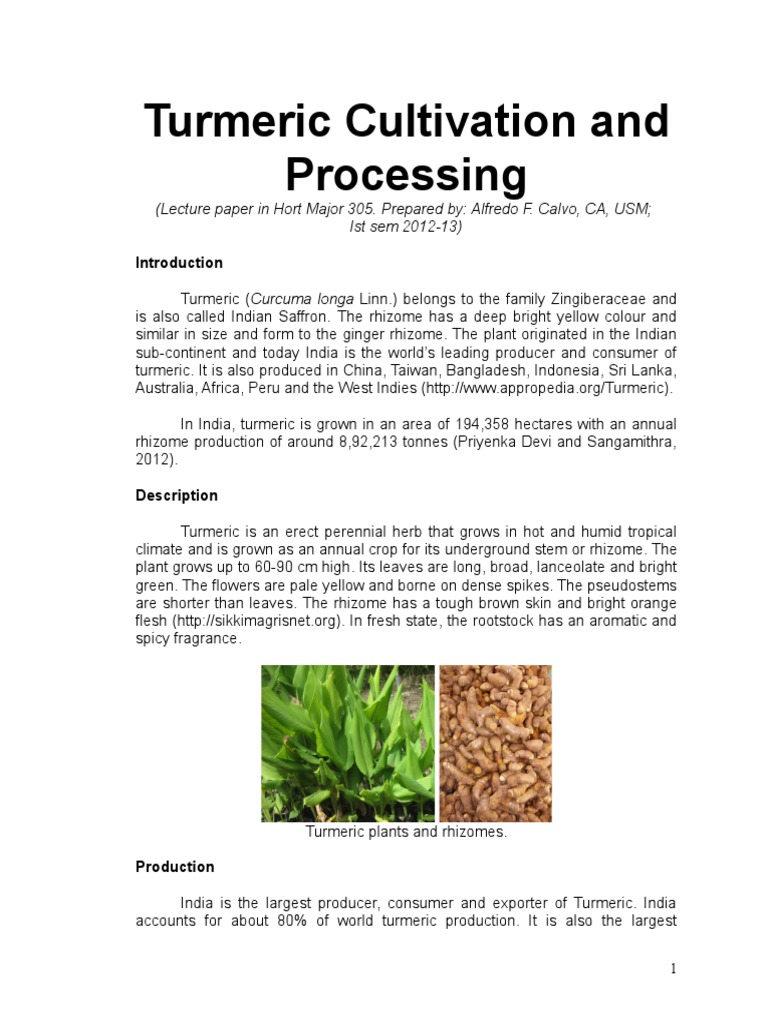 Hort. 305 Turmeric Cultivation and Processing-6 | PDF | Turmeric | Sowing