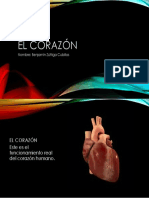 El Corazón