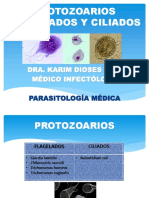 Protozoarios Flagelados Y Ciliados: Dra. Karim Dioses Diaz Médico Infectólogo