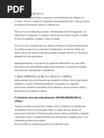 celula2
