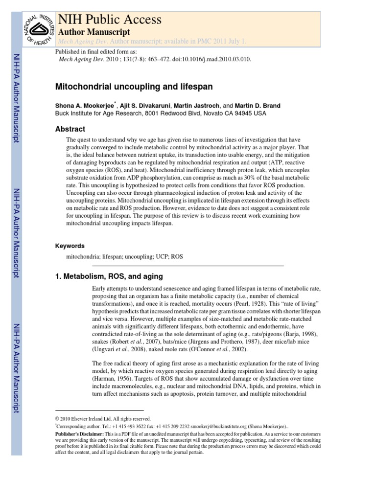 Mitochondrial Uncoupling | PDF | Electron Transport Chain | Mitochondrion