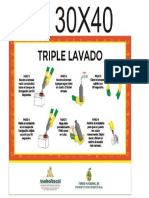 Triple Lavado