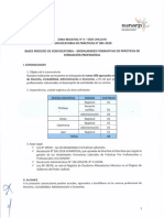 1. BASES - PRACTICAS PROFESIONALES N° 001-2019.pdf