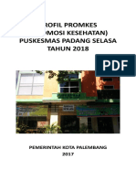 Profil Promkes (Promosi Kesehatan) Puskesmas Padang Selasa TAHUN 2018