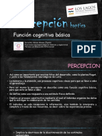 Percepción Haptica