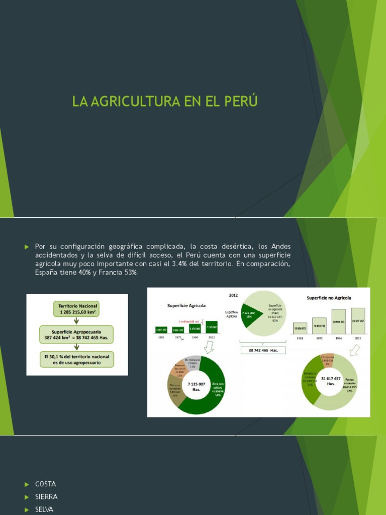 La Agricultura En El Perú Pdf Agricultura Perú
