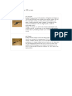 basic_tools.pdf