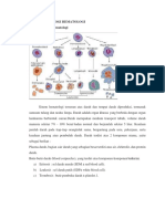 Anatomi Dan Fisiologi Hematologi