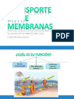 Transporte Entre Membranas PDF
