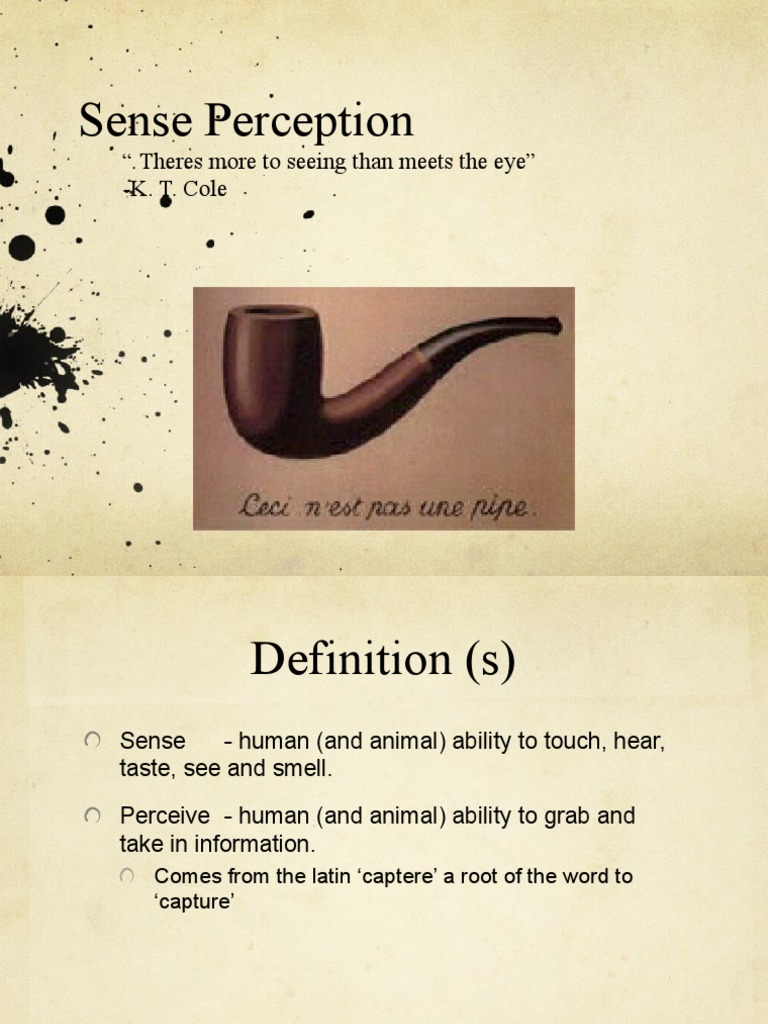 Understanding Sense Perception Basics | PDF