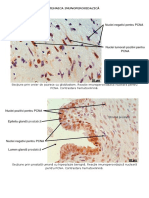 LP 5 Imunohistochimie PDF