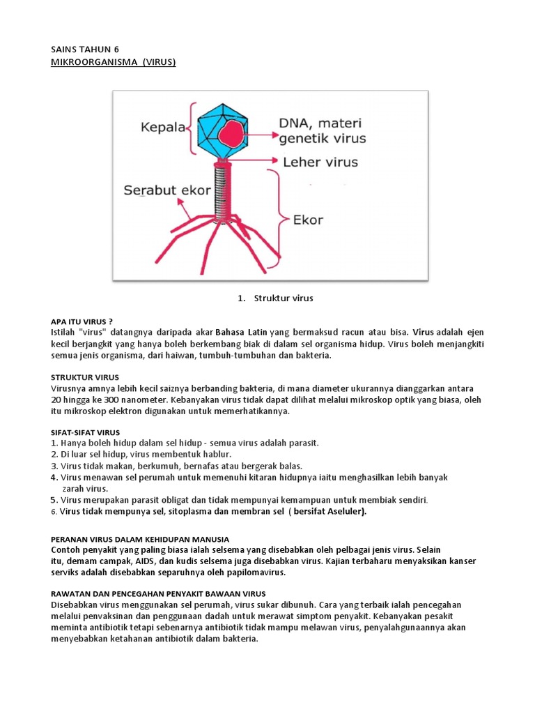 Virus Pdf