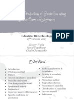 Industrial Production of Penicillin Using: Penicillium Chrysogenum