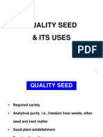 11 Quality Seed Uses