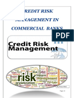 Credit Risk Management in Commercial Banks
