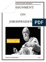 azeem's jurisprudence final pdf.pdf