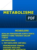 metabolisme.ppt