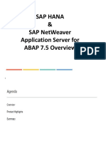 SAP HANA & SAP NetWeaver Application Server ABAP 7.5 Overview