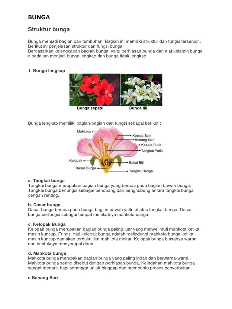 Struktur Bunga Pdf