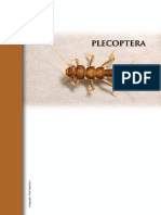 10-Gutierrez-Plecoptera.pdf