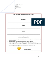 Evaluación de Ciencias Sofi