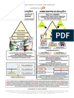 Desconcentração X Descentralização PDF