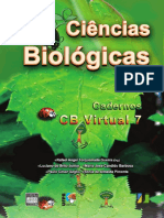 5-Recursos Audio Visuais PDF