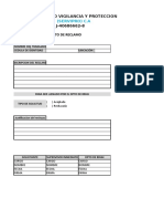 Formatos Varios