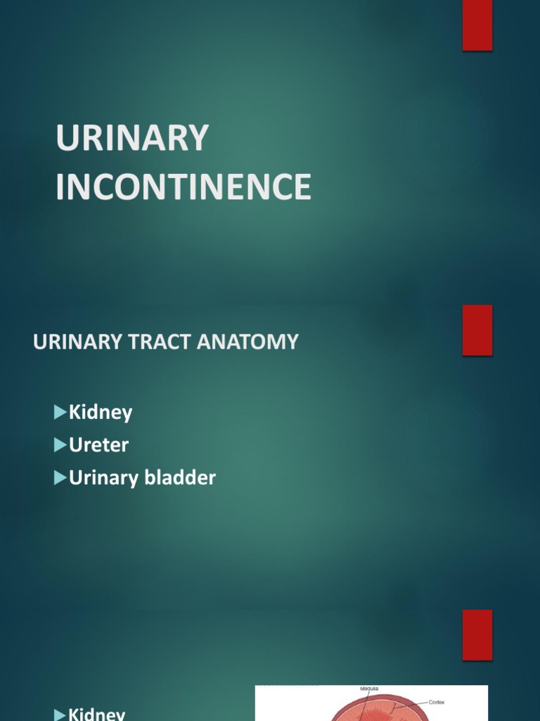 Cercarial Dermatitis PDF Urinary Incontinence Urinary Bladder