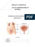PNPK ISK Pada Kehamilan.pdf