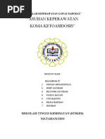 Download ASUHAN KEPERAWATAN KETOASIDOSIS by Nano Viand SN40713618 doc pdf