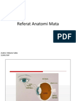Referat Anatomi Mata - Andres