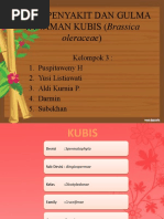 Download Hama Penyakit Dan Gulma Tanaman Kubis  by Yusi Listiawati SN40713788 doc pdf